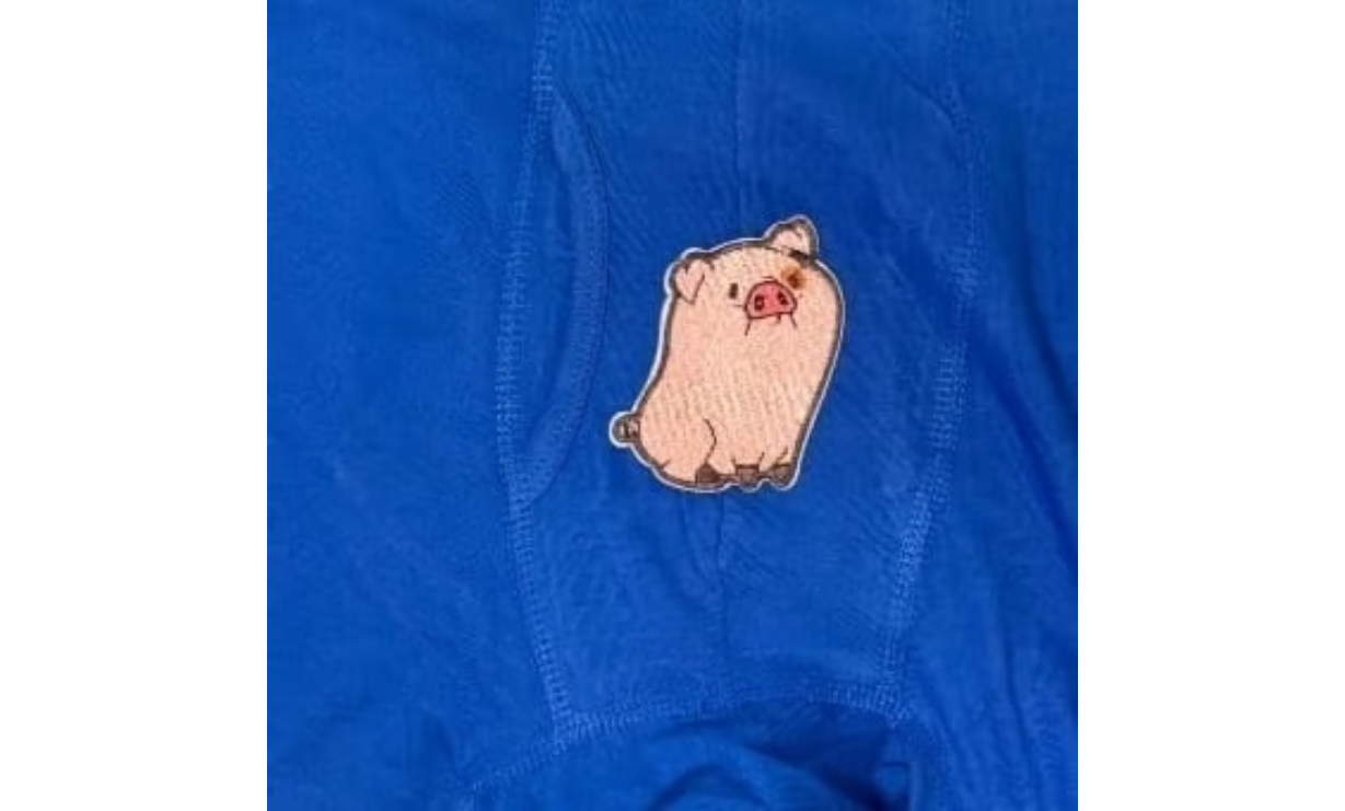 The Hog Underwear in Blue Men's Size Large