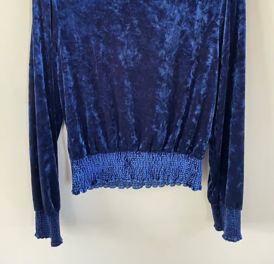 Royal Blue Velvet Button Up Blouse (Size Small)