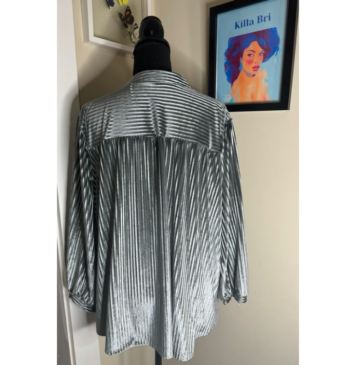 Walking in a Winter Wonderland Velvet Pleat Blouse