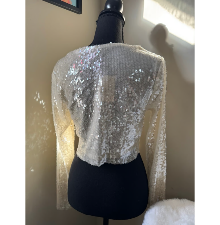Winter Sparkle Sequin Crop Top