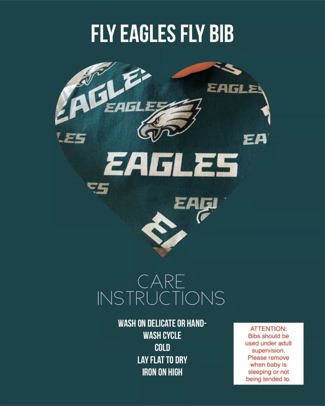 Fly Eagles Fly Bib (0-9 months)