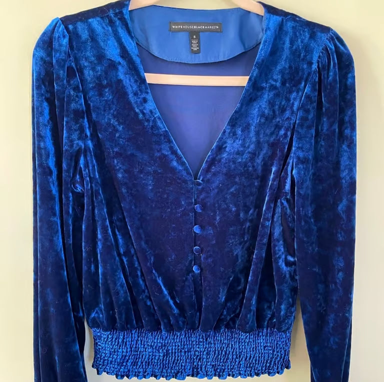 Velvet Cutie Button Up Blouse (Size Small)